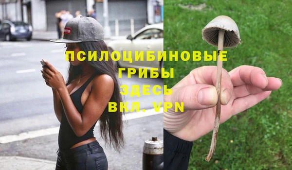 Альфа ПВП Арсеньев