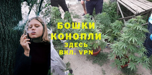Альфа ПВП Арсеньев