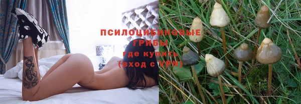 Альфа ПВП Арсеньев
