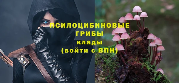Альфа ПВП Арсеньев