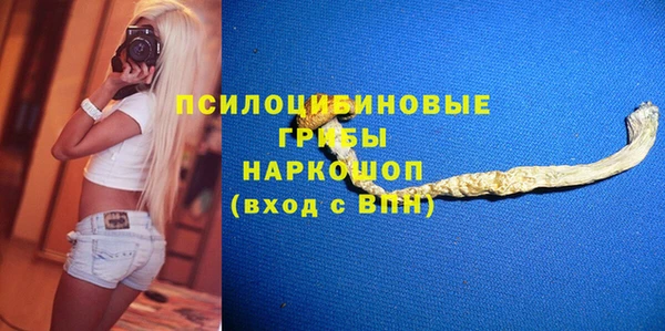 дживик Армянск